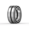 SL045013-PP-C3 INA - Zylinderrollenlager with white background