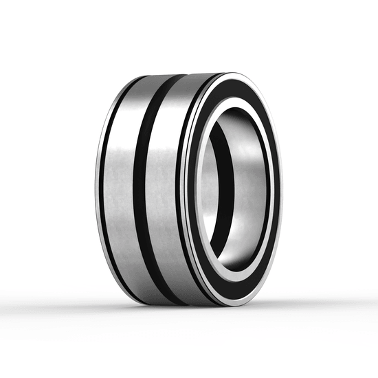 SL045013-PP-C3 INA - Zylinderrollenlager with white background