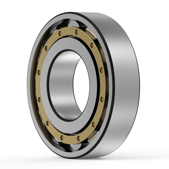 N326 ECM SKF - Zylinderrollenlager with white background