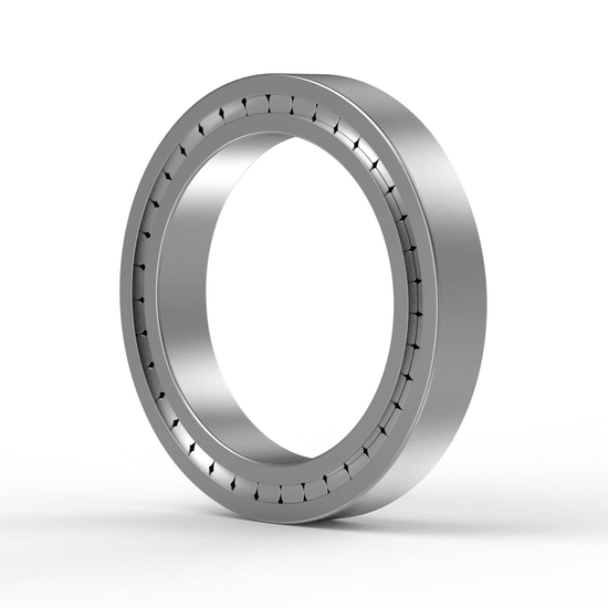 SL183026 INA - Zylinderrollenlager with white background