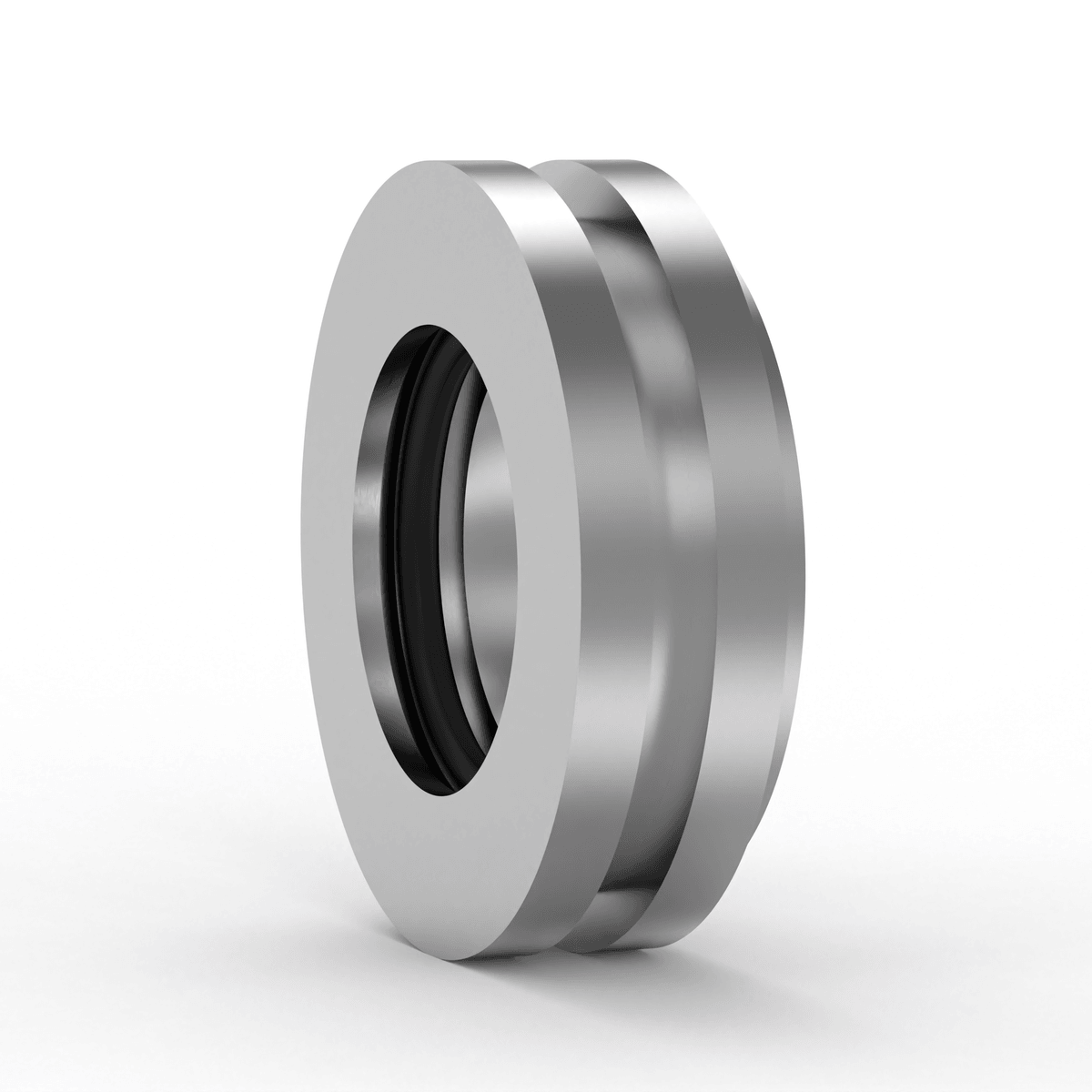 TSN224 S SKF - Gehäusedichtung with white background